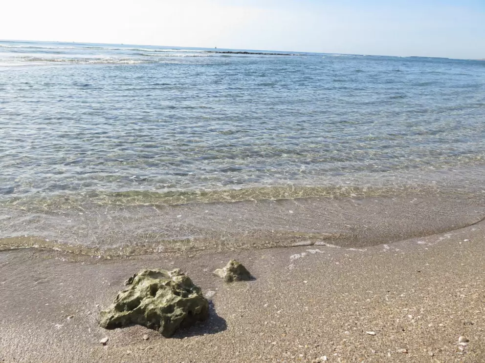 Coral and perfect water.