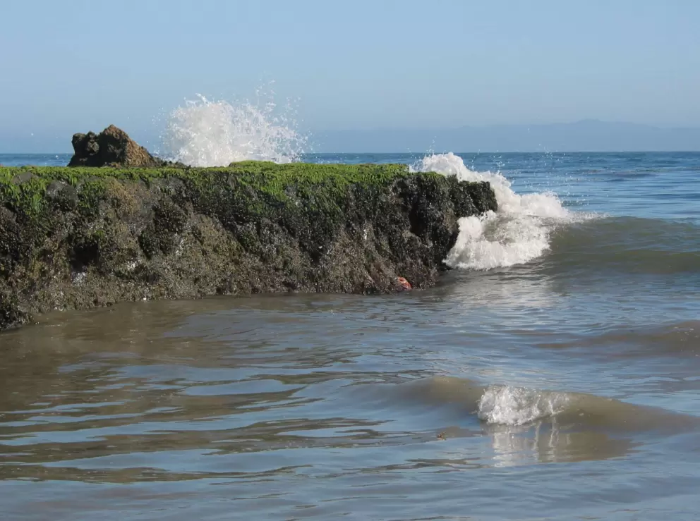 Waves crashing on the rocks at the southernmost point of Campus Point.