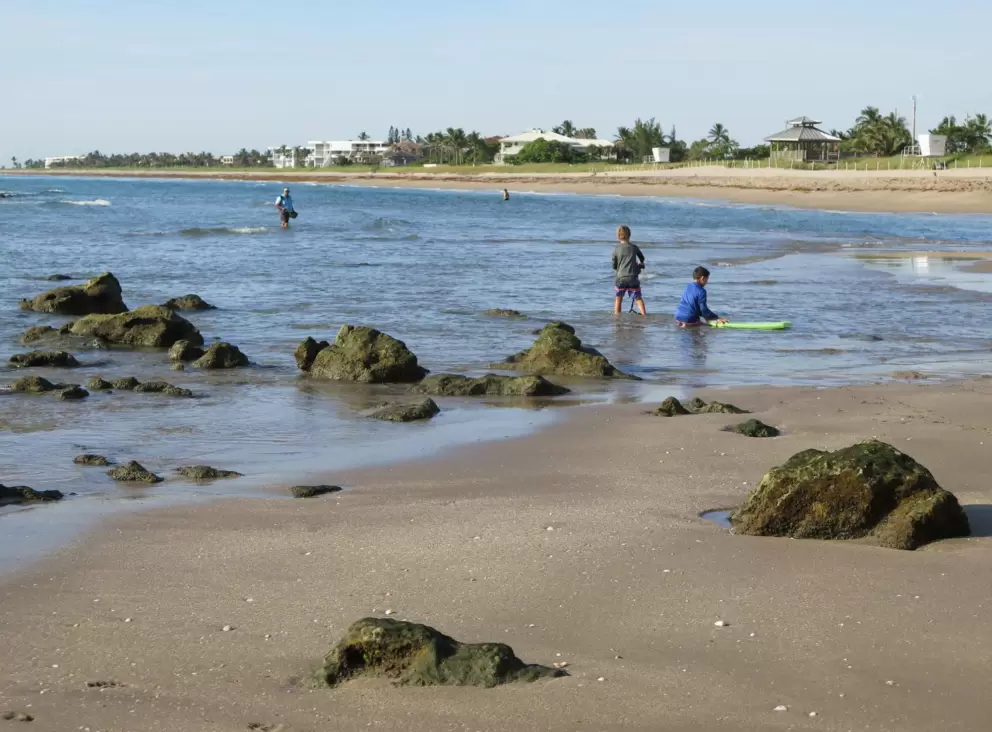 Kids playing in the water.