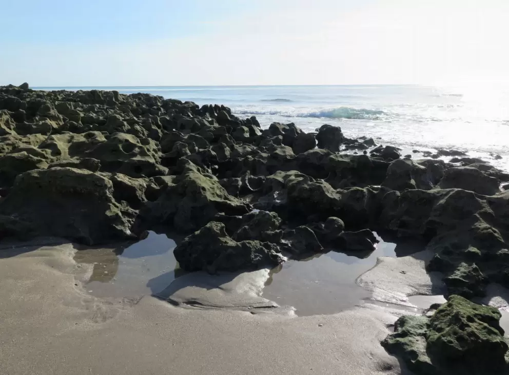 Little pools among the rocks.