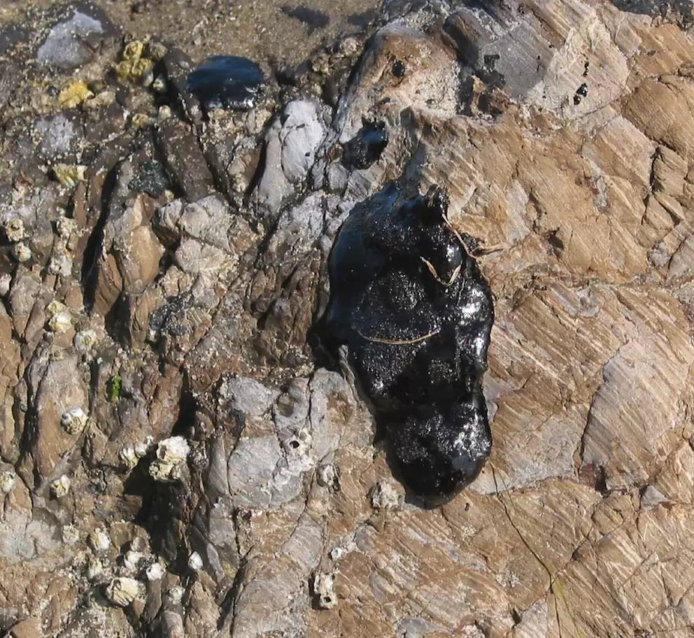 A glob of tar- not fun when it's stuck to your feet!