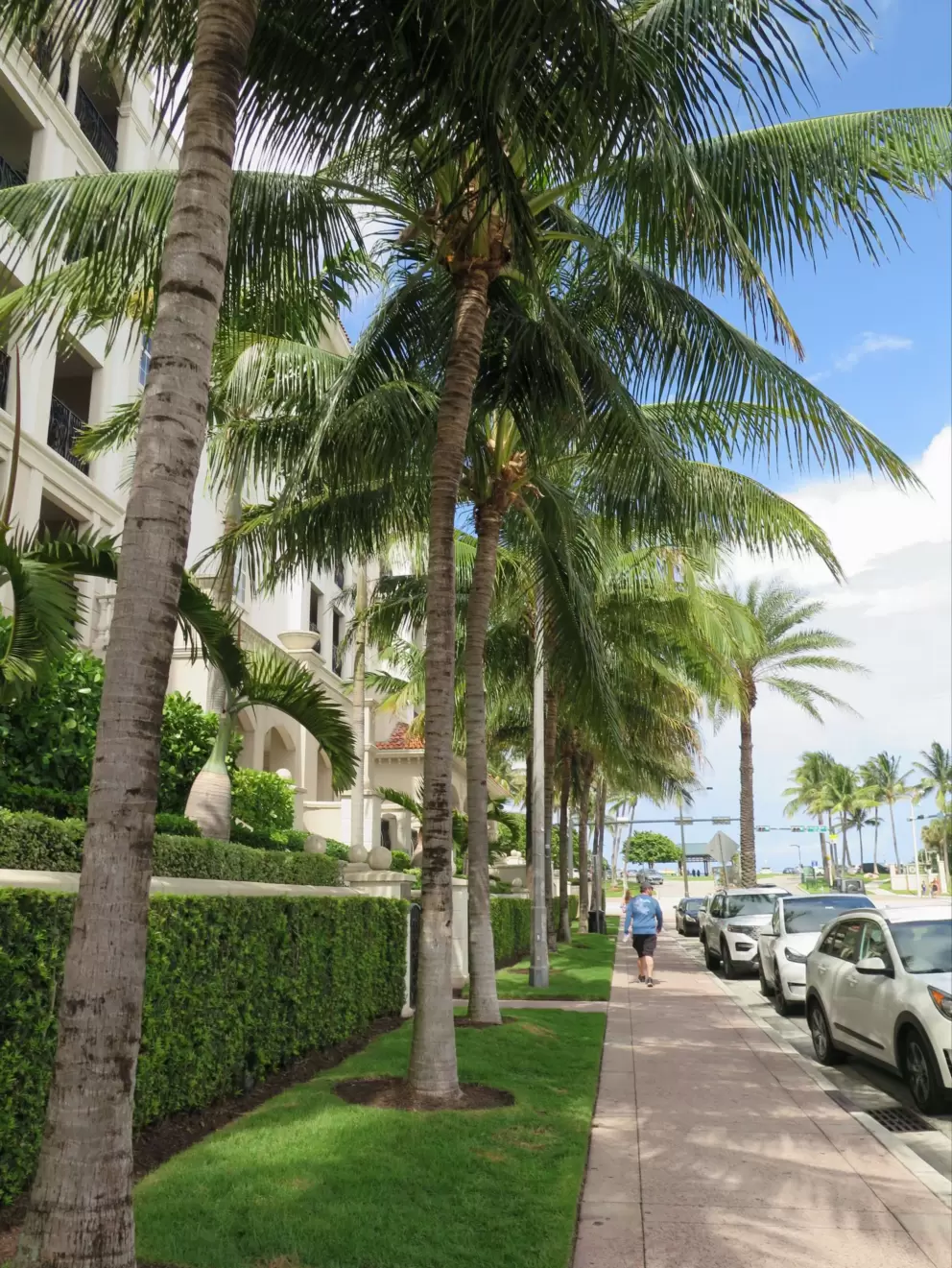 The walk from the cafes to the beach is shady in the afternoon.