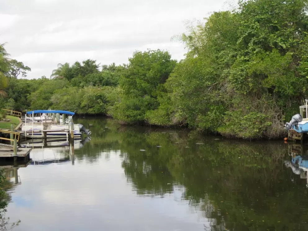 See the manatees in the distance, from Manatee Bridge, at St Lucie Blvd and Indian St.