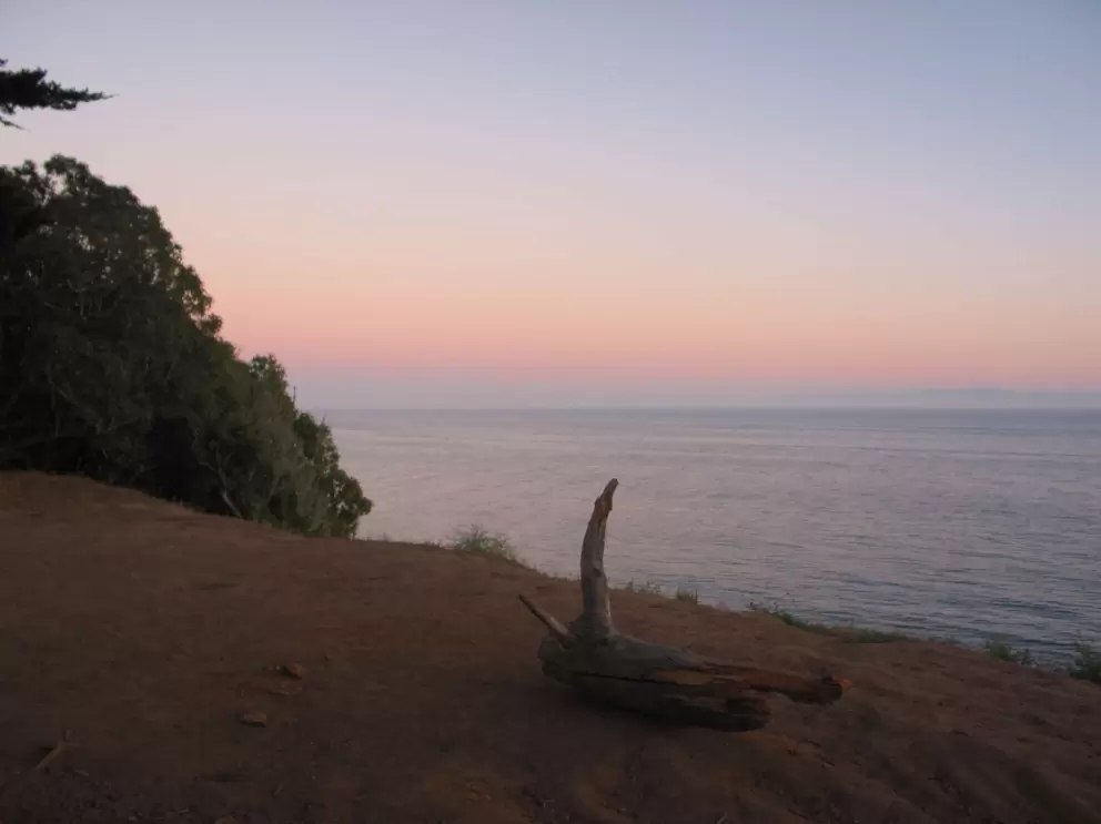 A lone log and sunset over the sea.