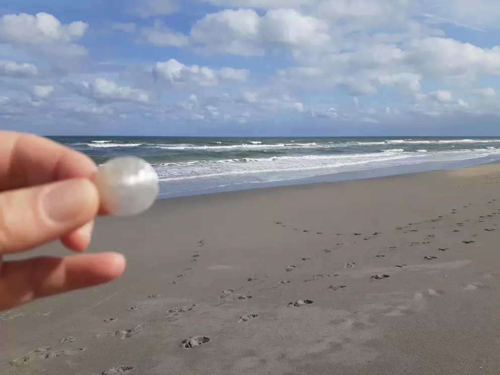 Clear shell.