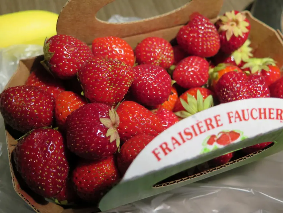 Plump strawberries from &Icirc;le d'Orl&eacute;ans, bought at a grocer on Avenue Cartier.
