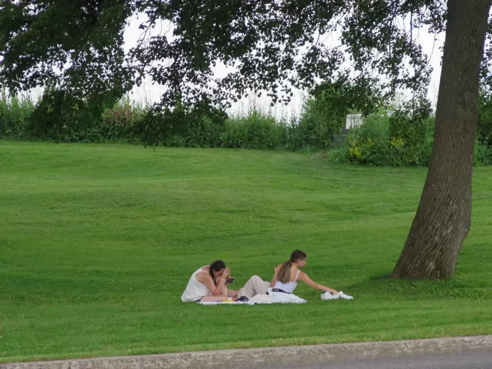 Relaxing on a lawn in Plains of Abraham.