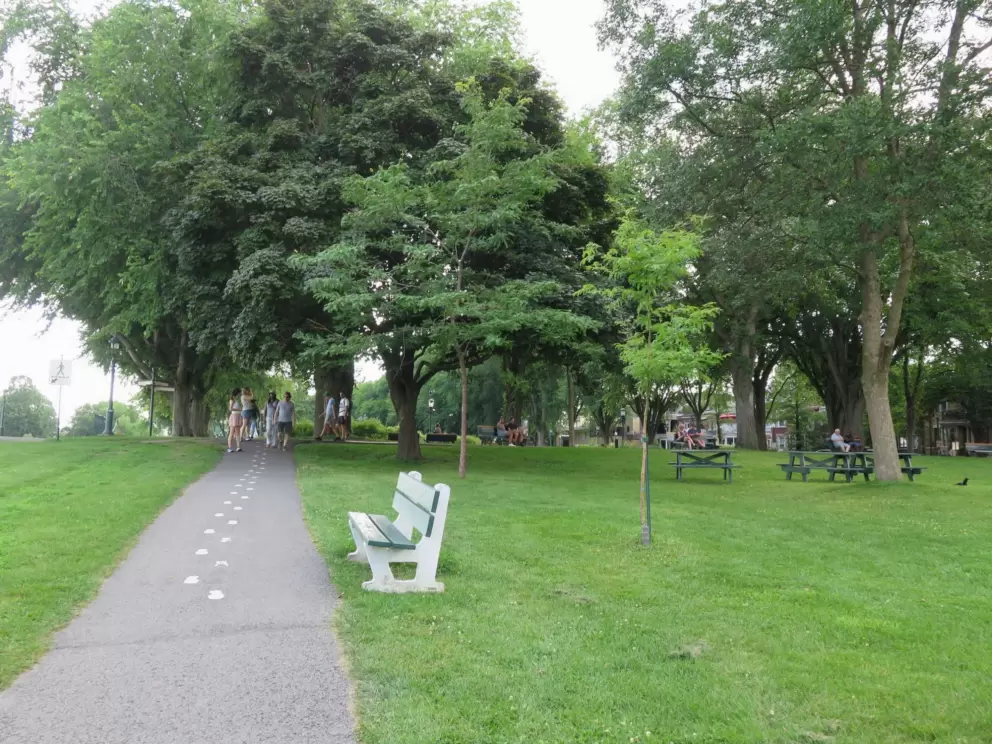 Lush trees and walking path.