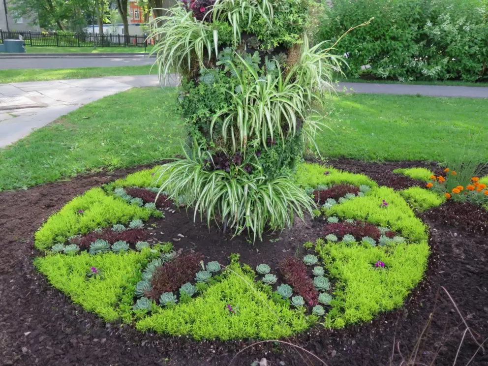 Star garden design.