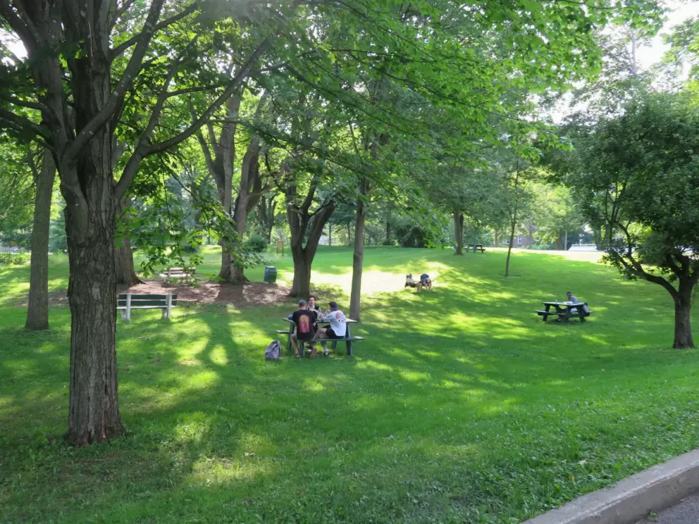 Residents relaxing at picnic tables.