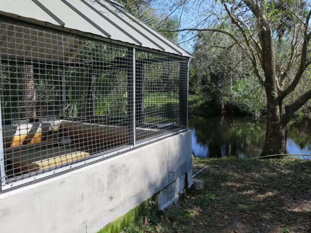Turtle enclosure by the lake.