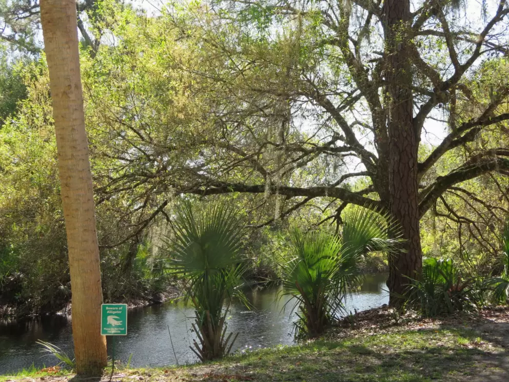 The pond and alligator warning sign.
