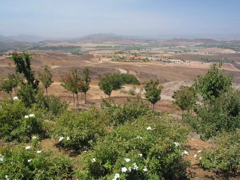 Views of avocado farms and barren land. On a clear day you can see a sliver of ocean.