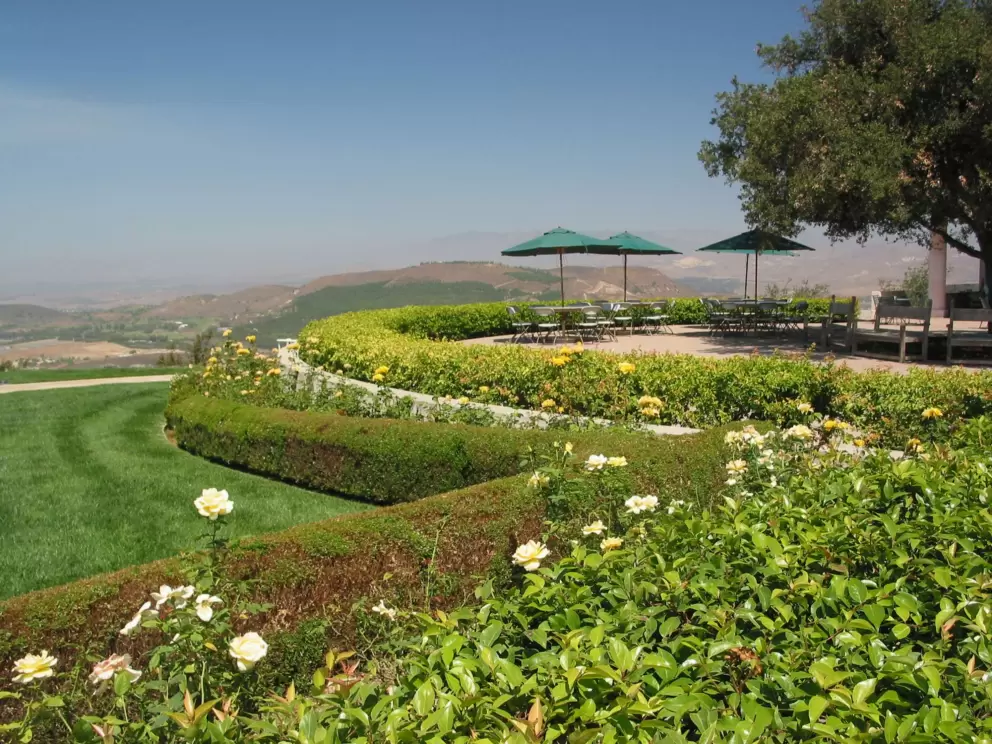 Garden and tables with umbrellas. 