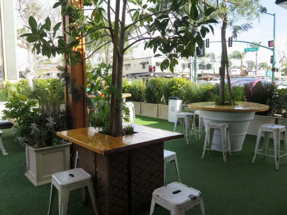Chairs and nice plants at Gelato 101. 