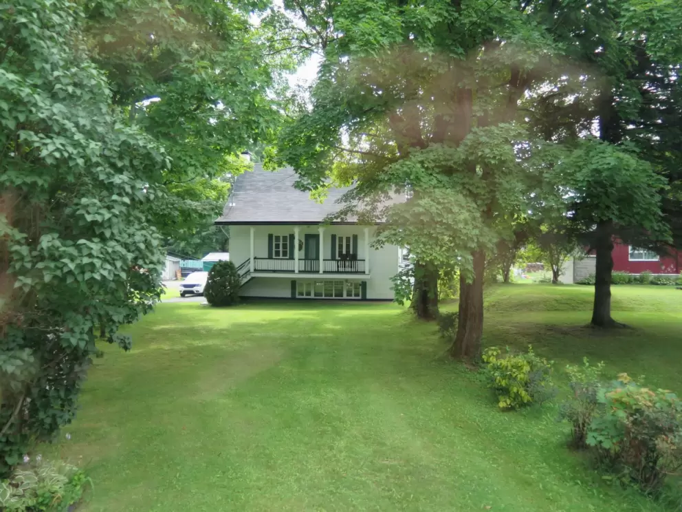 Tiny house among the trees.