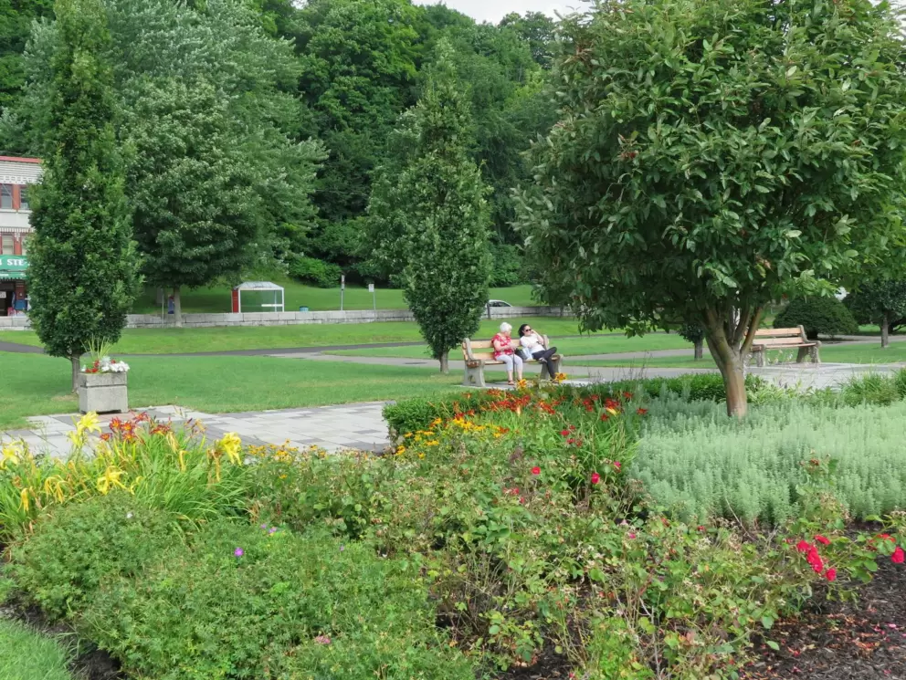 Women sitting on a bench in the garden.