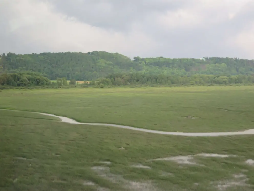 Salt marsh, as seen from the bridge to the island.