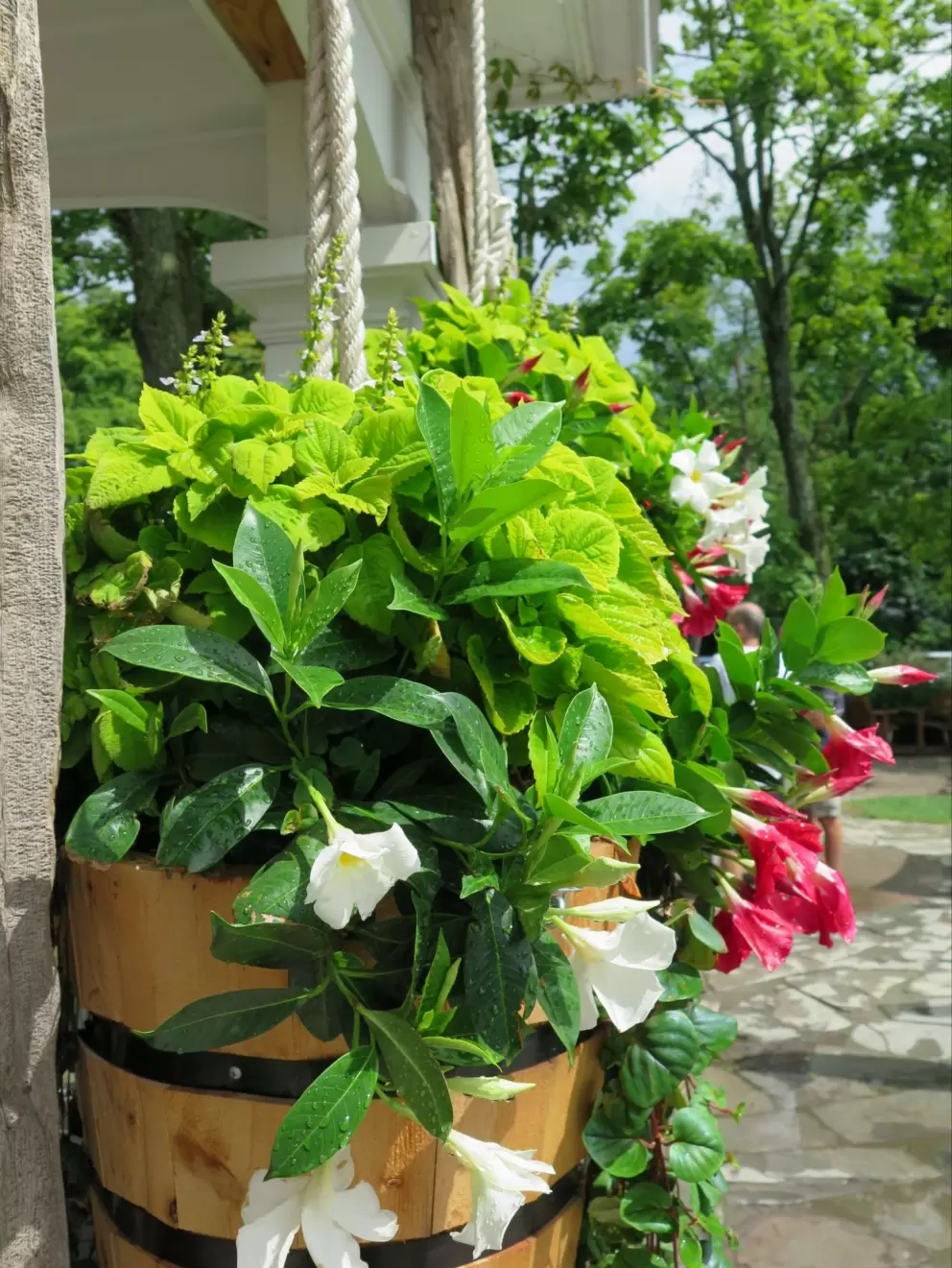 Hanging flower basket at the chocolaterie. 