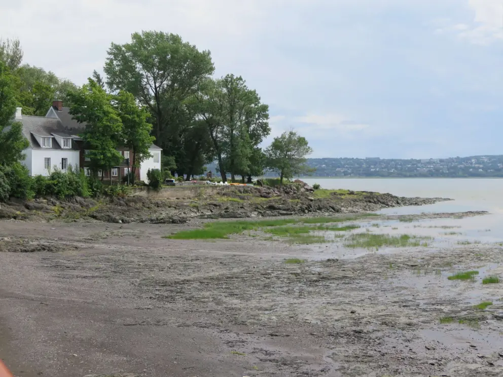 View of a quiet corner, as seen from Rue Horatio Walker, the little street with a waterfront walking path.