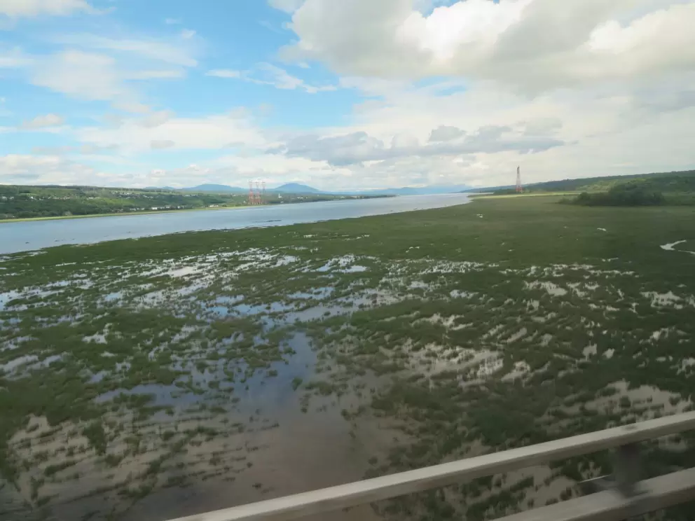 Salt marsh, as seen from the bridge when  you leave the island. 
