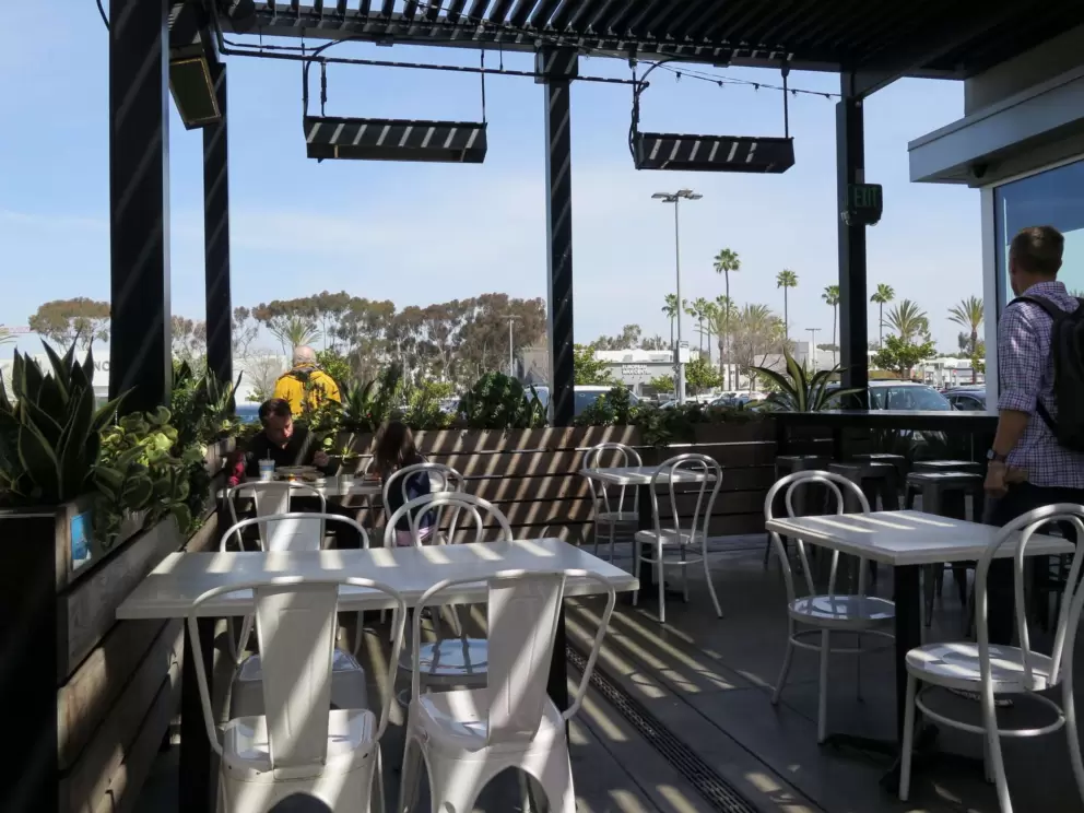Eucalyptus trees and palm trees in the distance, from the cute outdoor seating at Mendocino Farms.