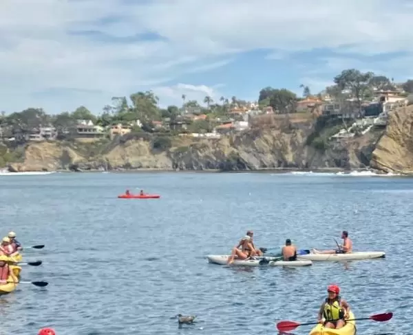 Sunny day kayaking at La Jolla Sea Caves.