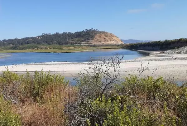 View of the lagoon from Torrey Pines North Beach parking lot. 