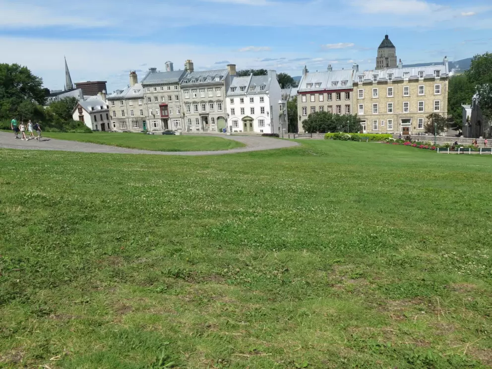 Lots of grass to roll on!