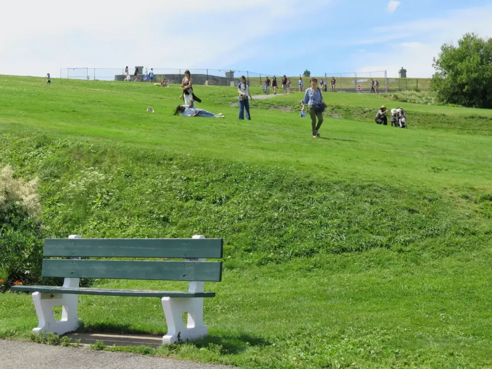 The amazing grassy slope where you can roll, picnic, or read a book.