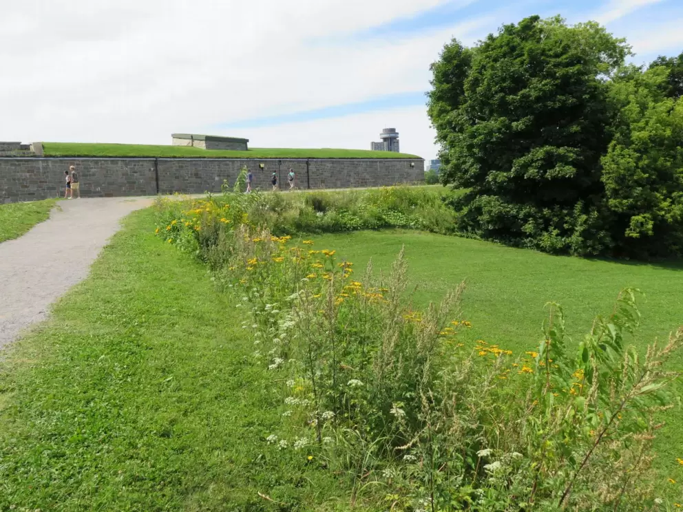 The path between Parc du Bastion-de-la-Reine (and Pierre-Dugua-De-Mons Terrace) and the citadel. 