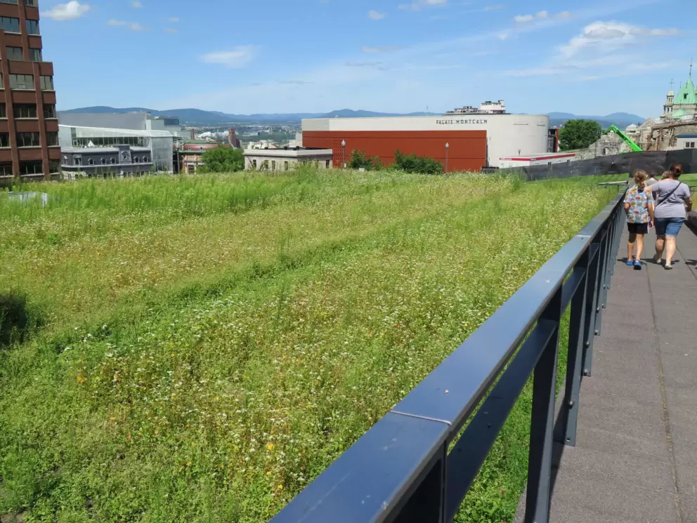 Walking on top of the Honore-Mercier parking garage to get to Artillery Park from Blvd Honore-Mercier.