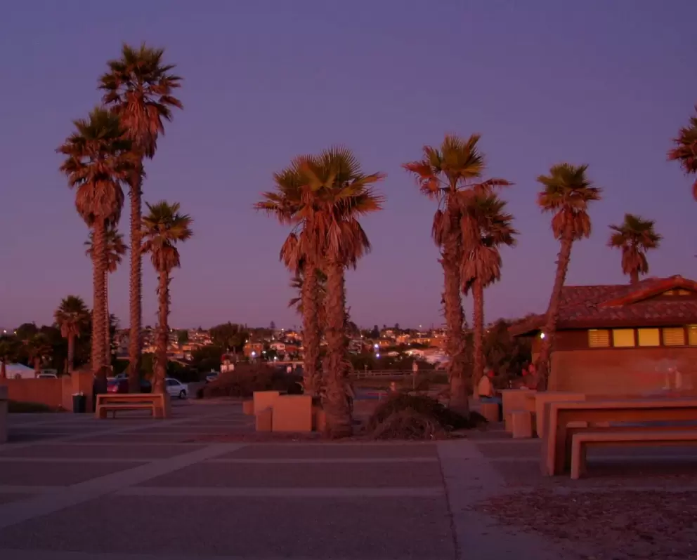 The oasis of palms plus picnic tables at the end of Grand Ave. 