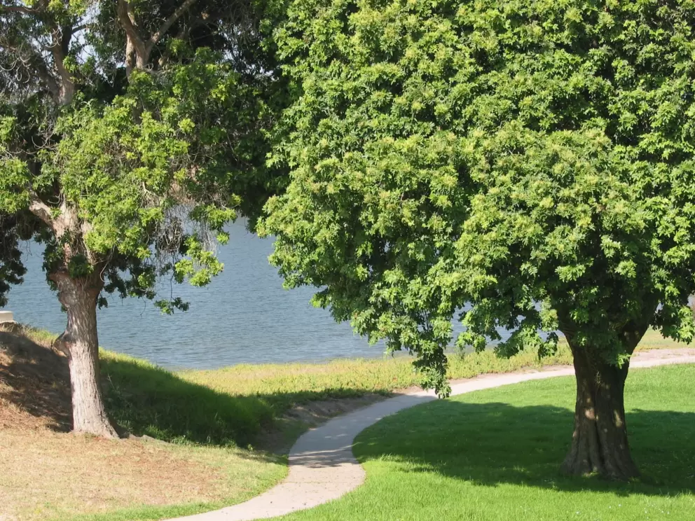 The lagoon next to Campus Point.