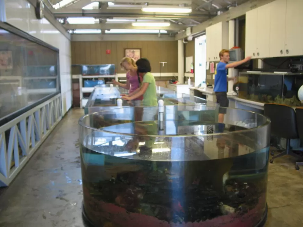 The touch tanks at The Reef, open 11-2 on Saturdays, for free!