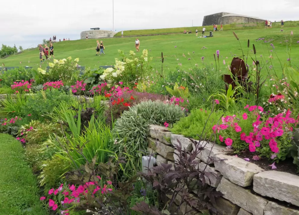 Flower plantings!