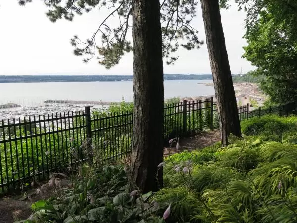 Views over the river. 