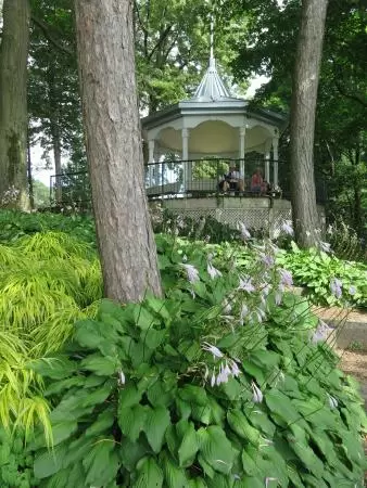 The gazebo and plants galore. 