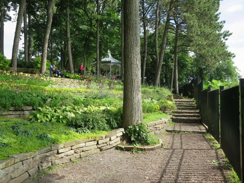Steps in the garden.