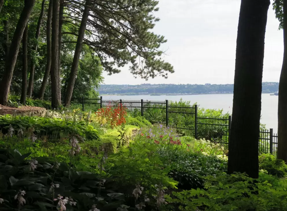 Terraced garden and fence by the edge.