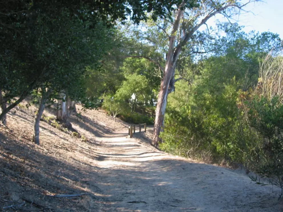 The peaceful trail at Escondido Park.
