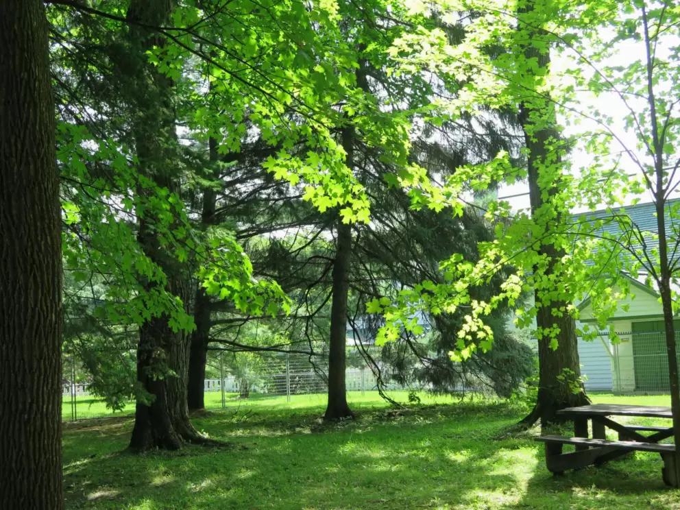 Picnic table. 