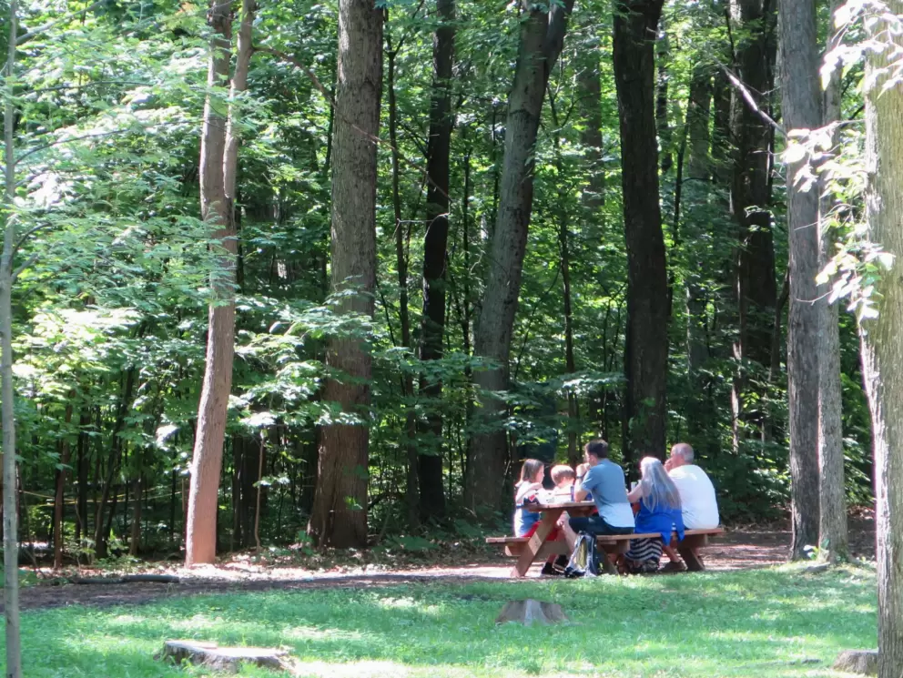 A family picnic. 