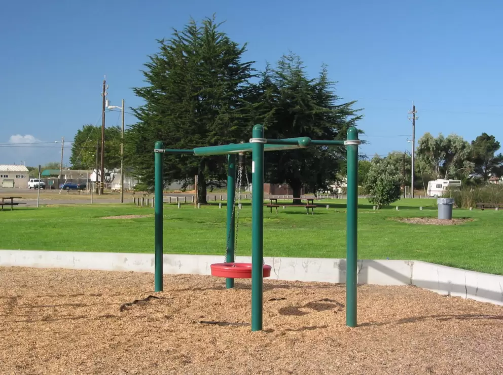 Tire swing.