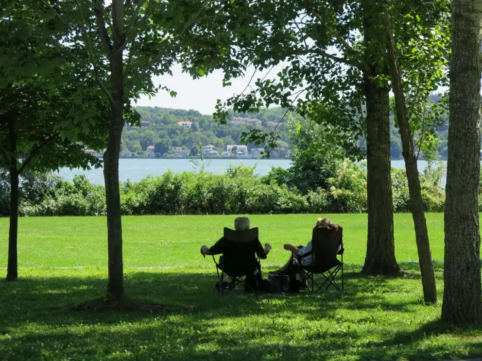 Relaxing in the park. 