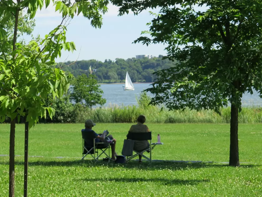 Shady spot to sit in the park. 