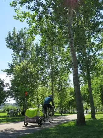 Bike with trailer. 
