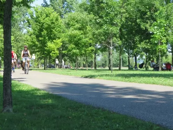 Riding along the bike path. 