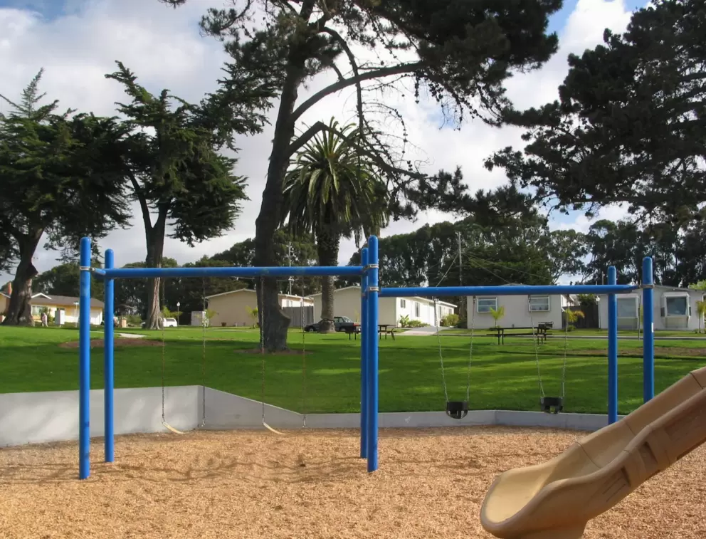 The swings.