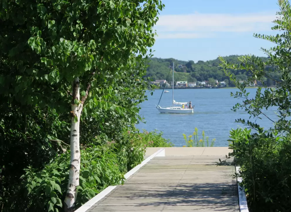 Path that runs along the water. 